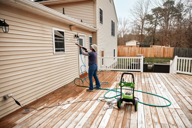 Best Power Washing Near Me  in Black Diamond, FL