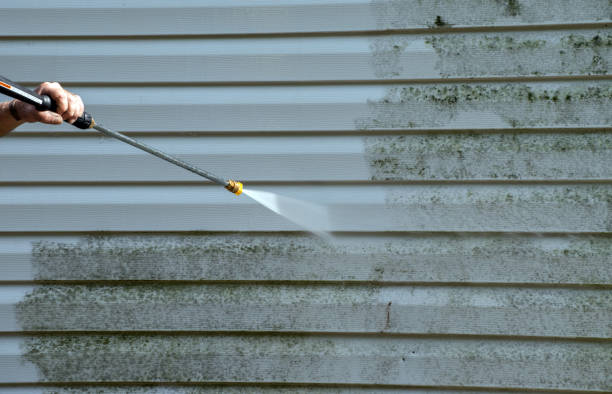 Best House Pressure Washing  in Black Diamond, FL
