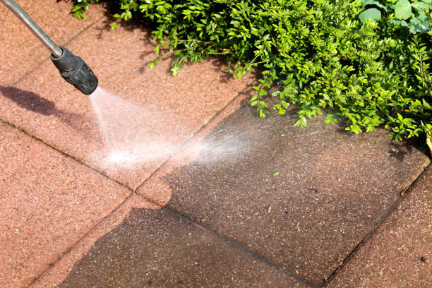 Best Pressure Washing Near Me  in Black Diamond, FL